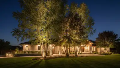 Dramatic tree uplighting design by Chop Chop Landscaping in Boise, ID enhancing evening landscape appeal