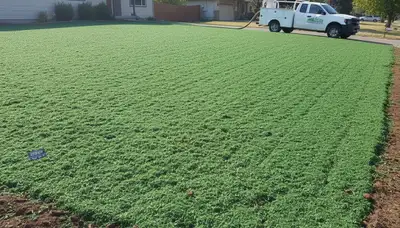 Fresh hydroseed lawn application in Boise, ID showing even green slurry coverage by Chop Chop Landscaping